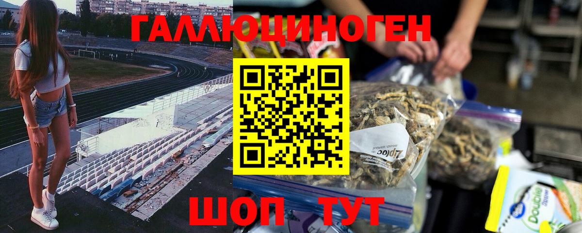 Галлюциногенные грибы мухоморы  Псилоцибиновые грибы прущие грибы  Вход с VPN  Сызрань 