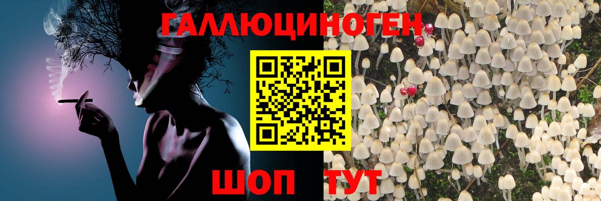Псилоцибиновые грибы GOLDEN TEACHER Сызрань